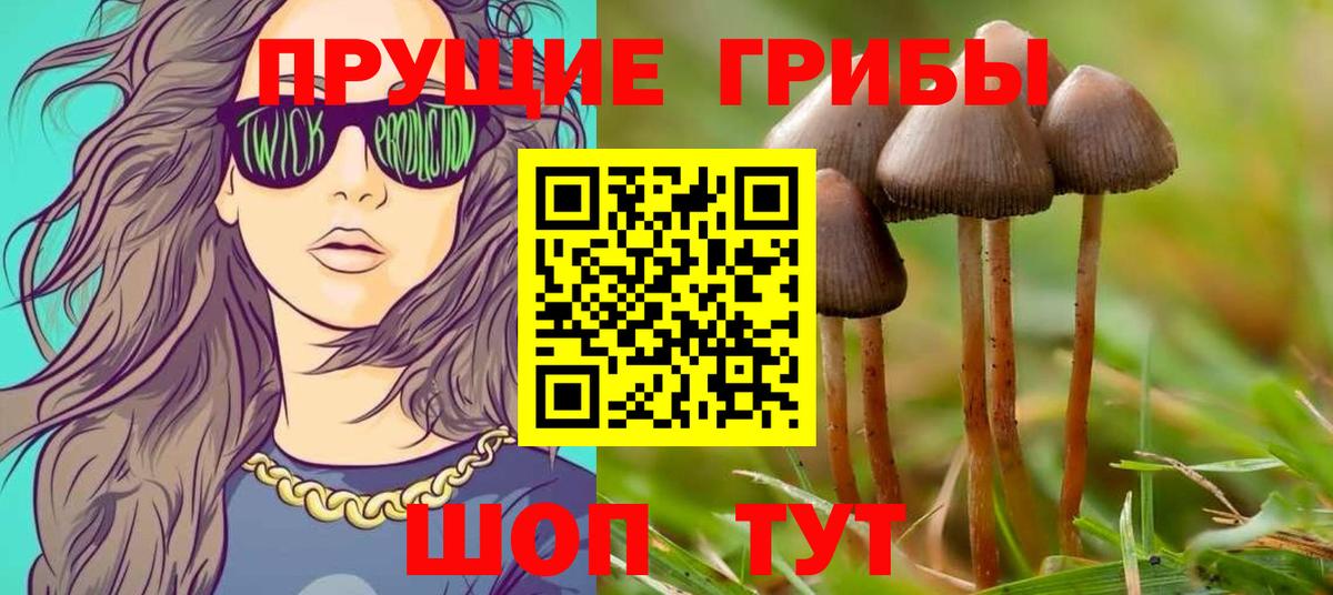 Псилоцибиновые грибы Cubensis  купить  сайты  Владимир  Вход с VPN  Галлюциногенные грибы MAGIC MUSHROOMS 